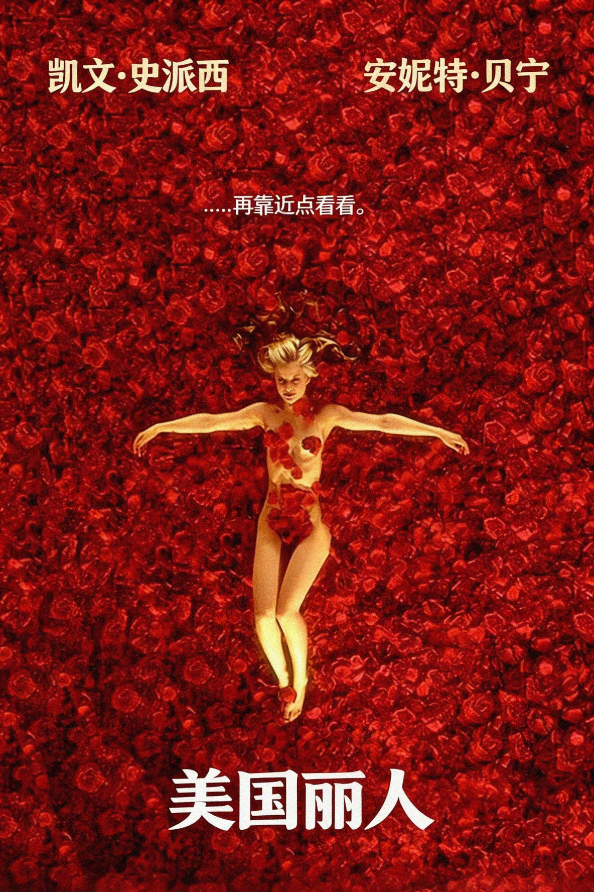 《美国丽人》海报