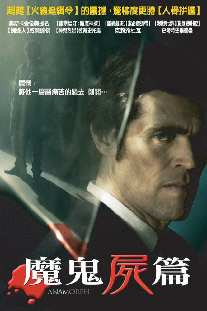 《失真的画》海报