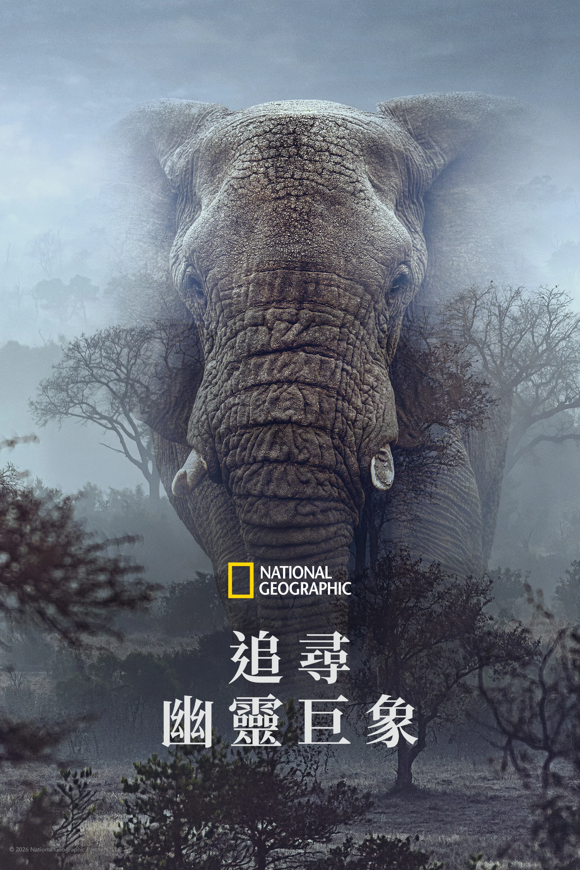 《追寻幽灵大象》海报