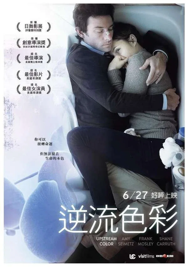 《逆流的色彩》海报