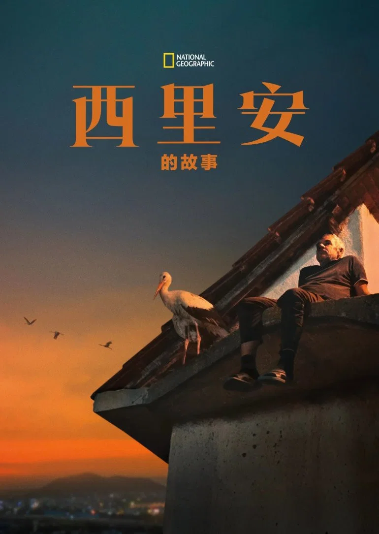 《西里安的故事》海报