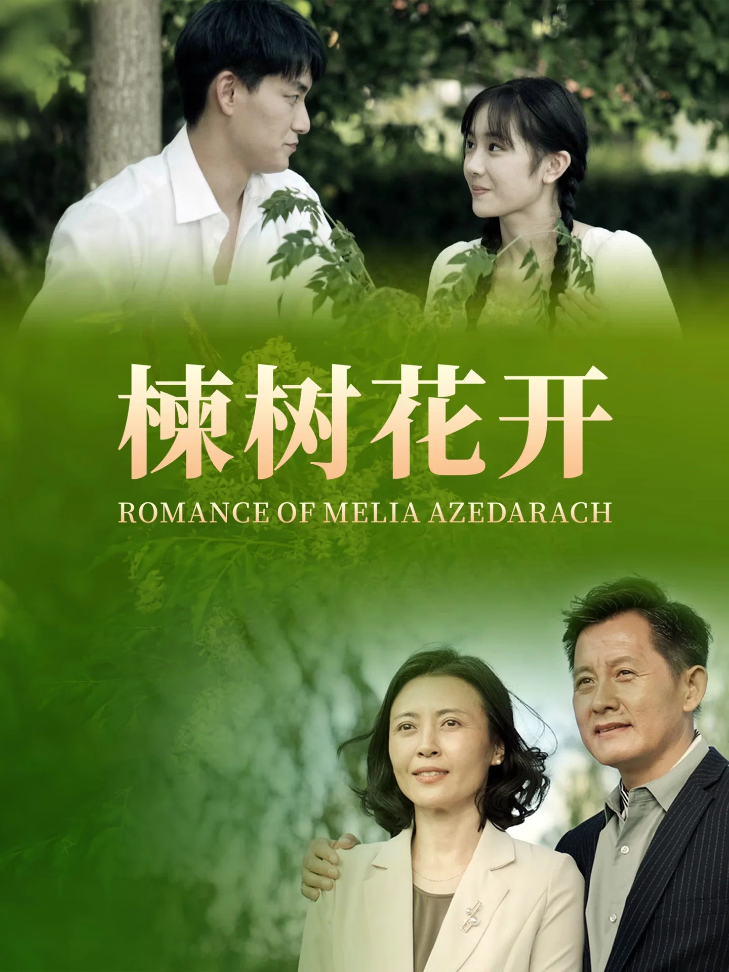 《楝树花开》海报
