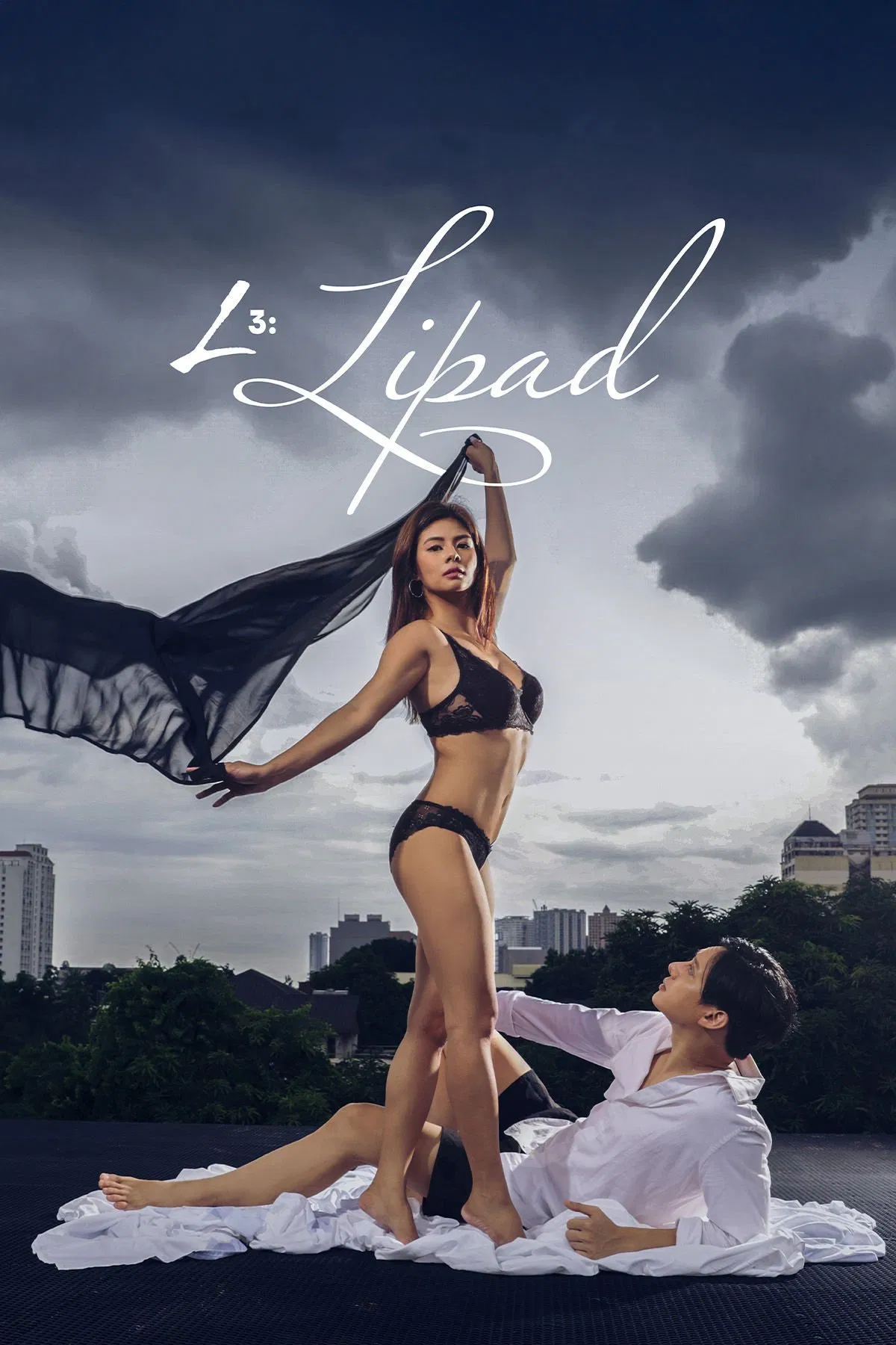 《L3：飞》海报