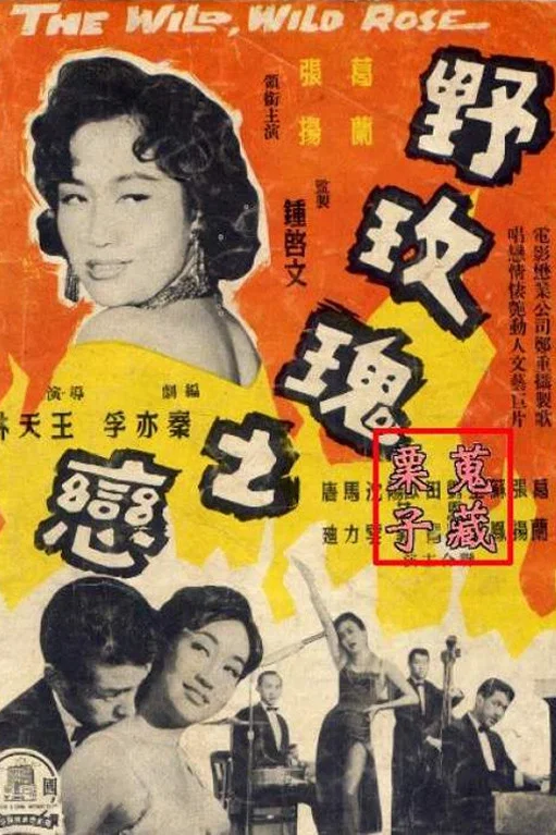 《野玫瑰之恋》海报