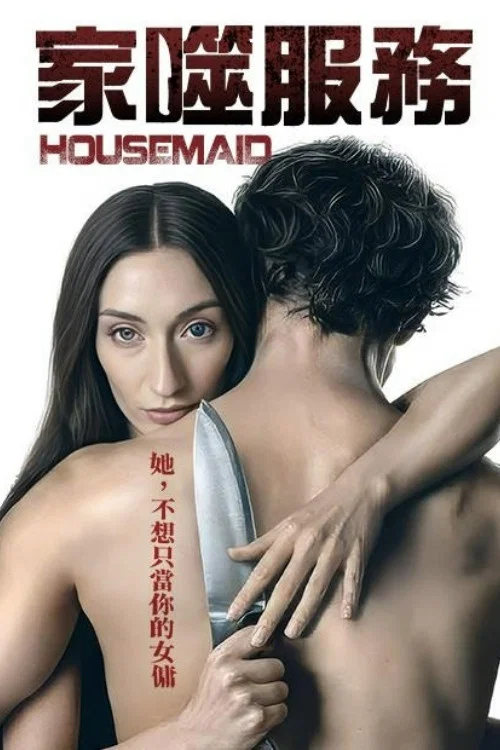 《智能女佣》海报