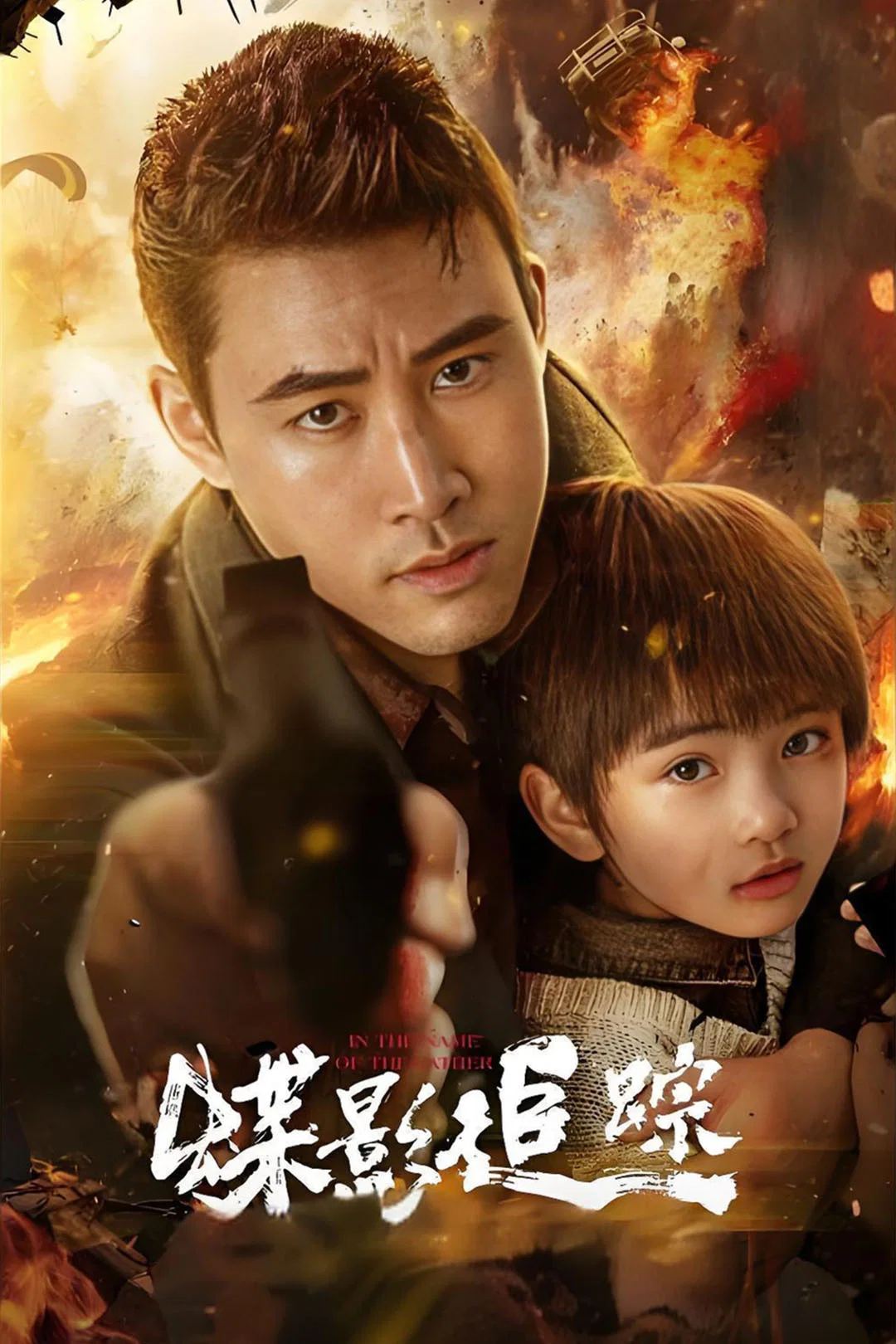 《蝶影追踪》海报
