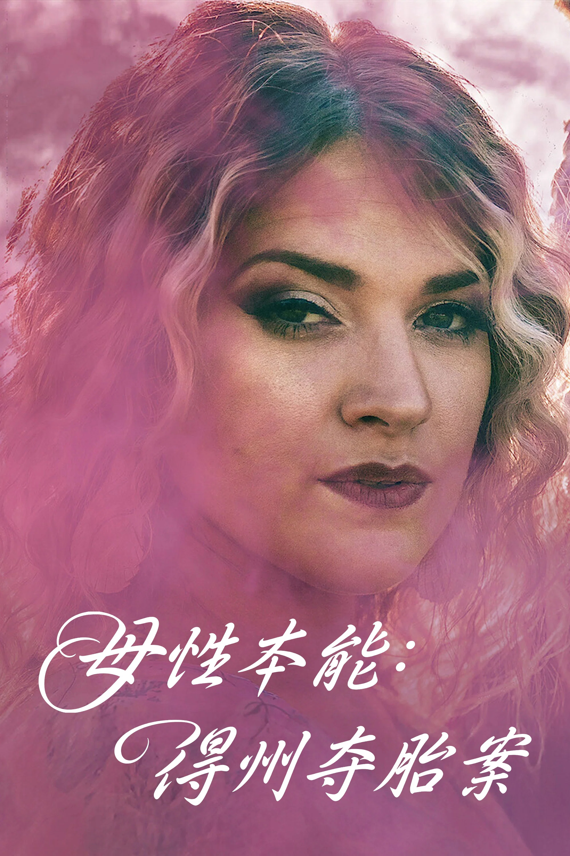《母性本能：得州夺胎案》海报