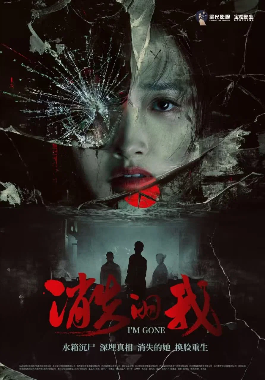 《消失的我》海报
