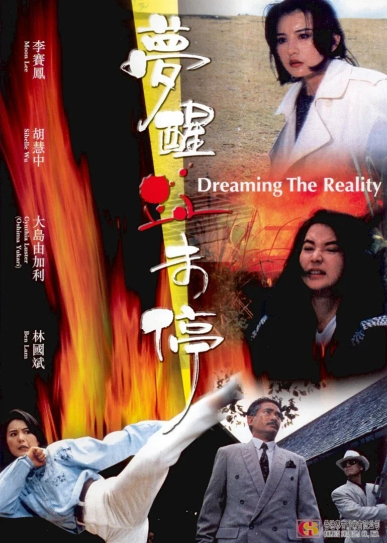 《梦醒血未停》海报