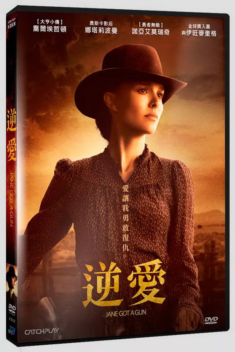 《拿起枪的简》海报
