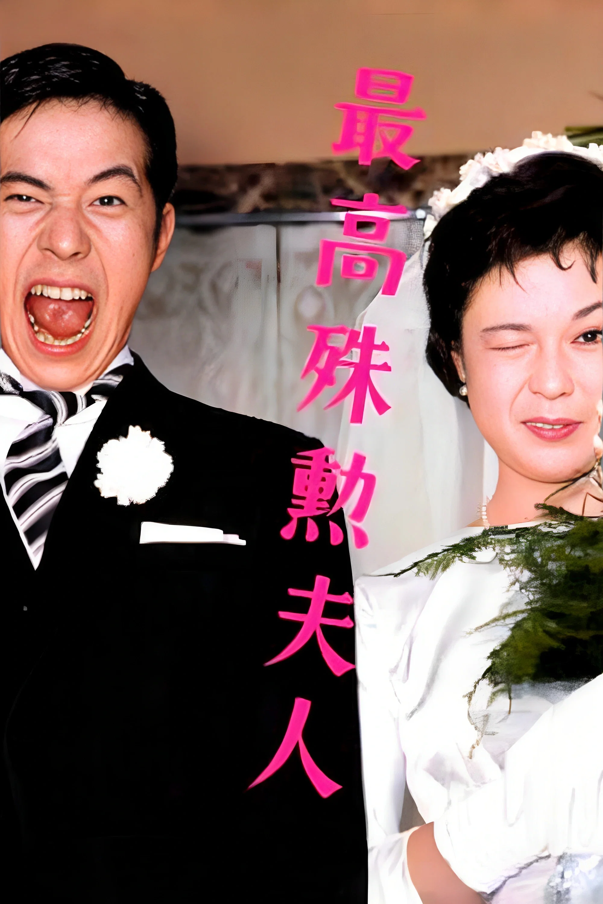 《最高殊勋夫人》海报