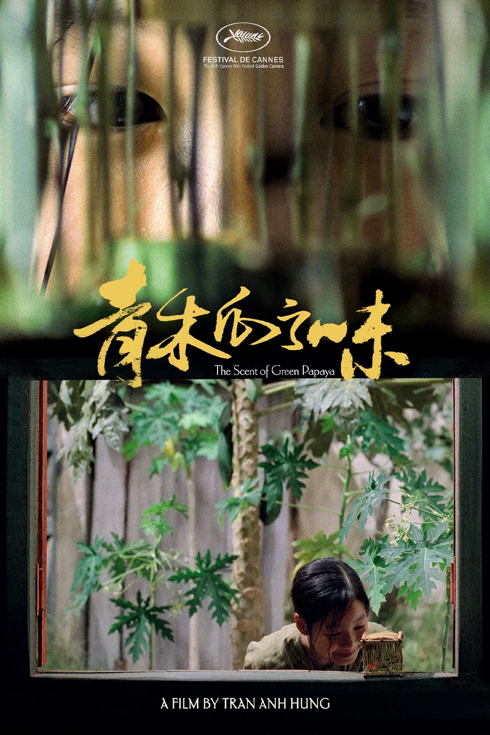 《青木瓜之味》海报