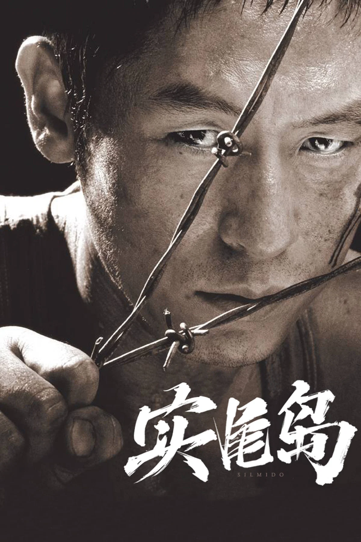 《实尾岛》海报