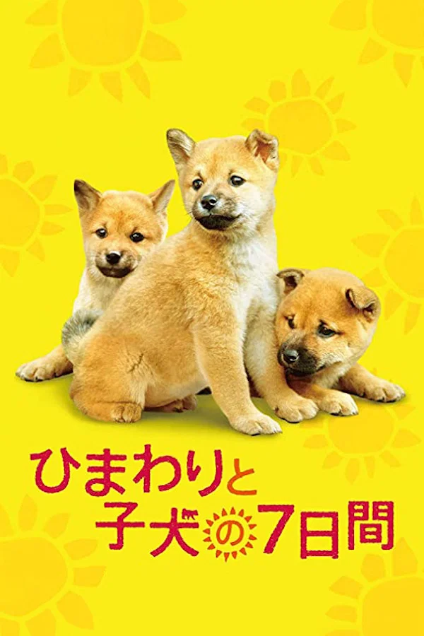 《向日葵与幼犬的7天》海报