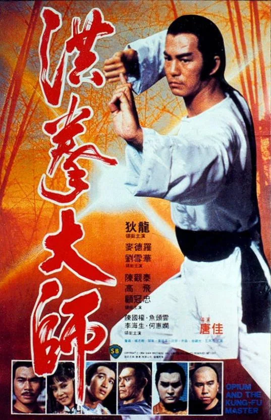 《洪拳大师》海报