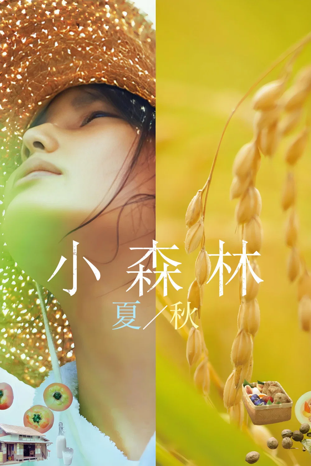 小森林：夏秋篇