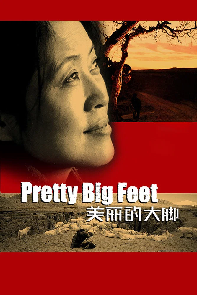 《美丽的大脚》海报
