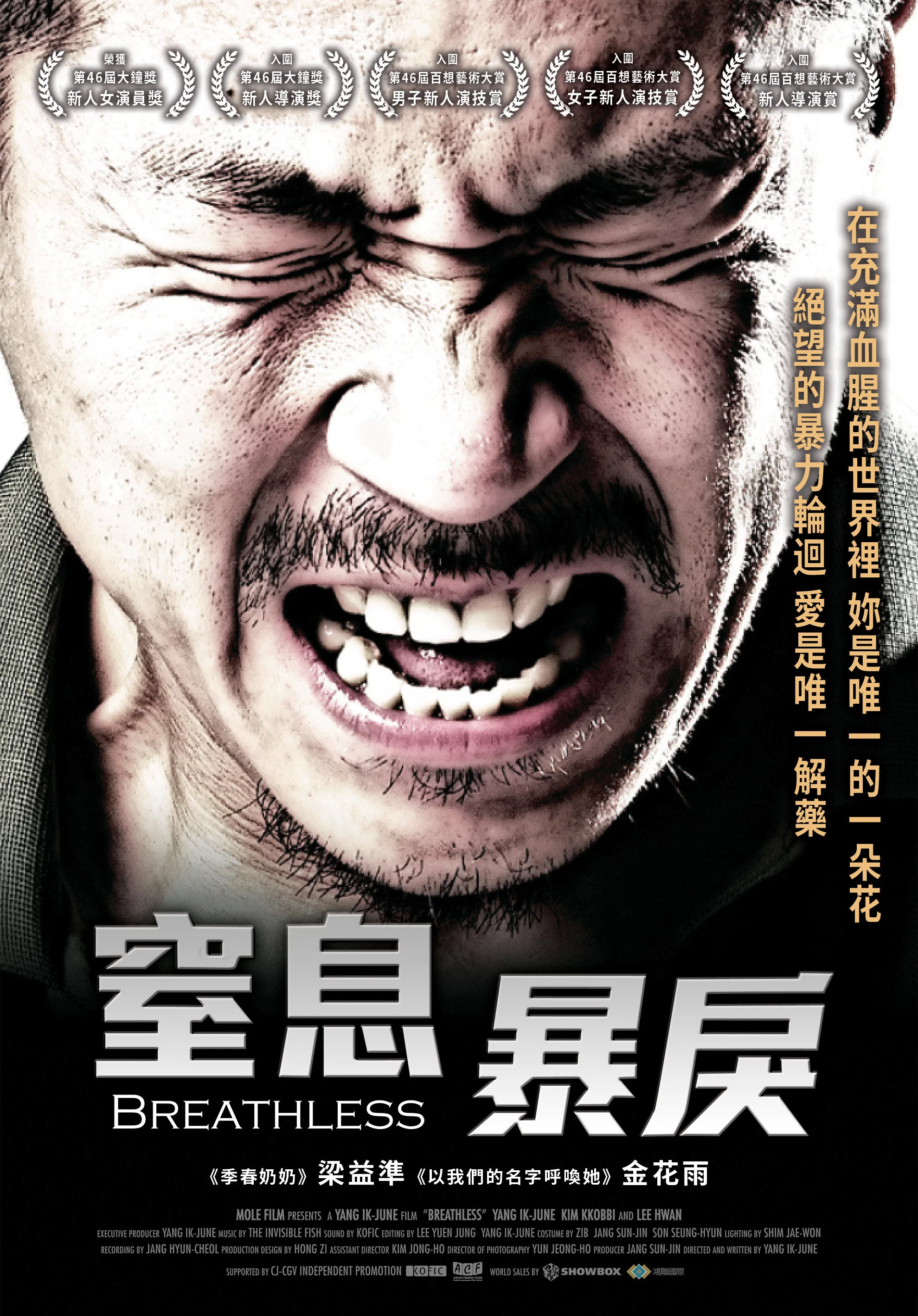 《绿头苍蝇》海报