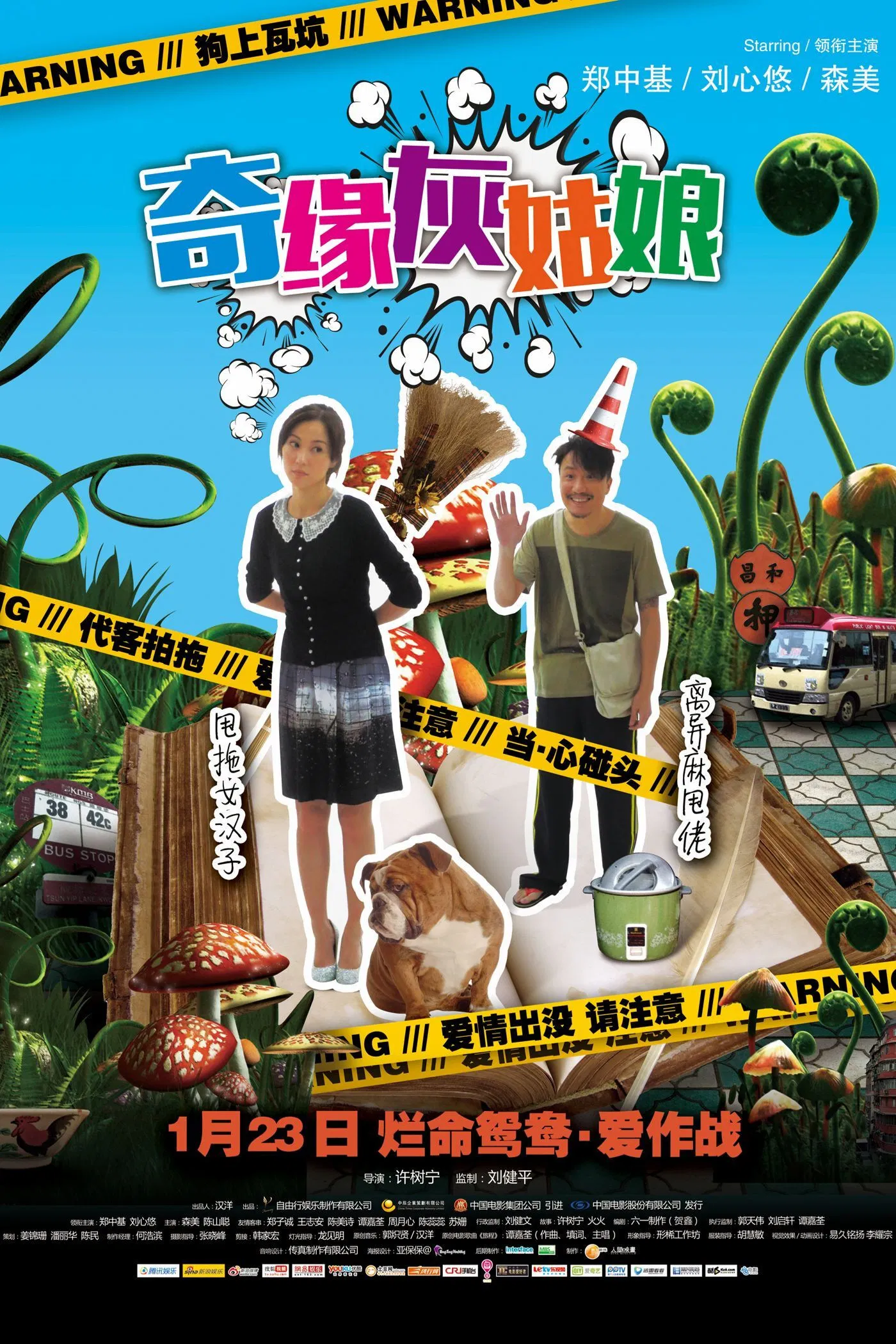 《奇缘灰姑娘》海报