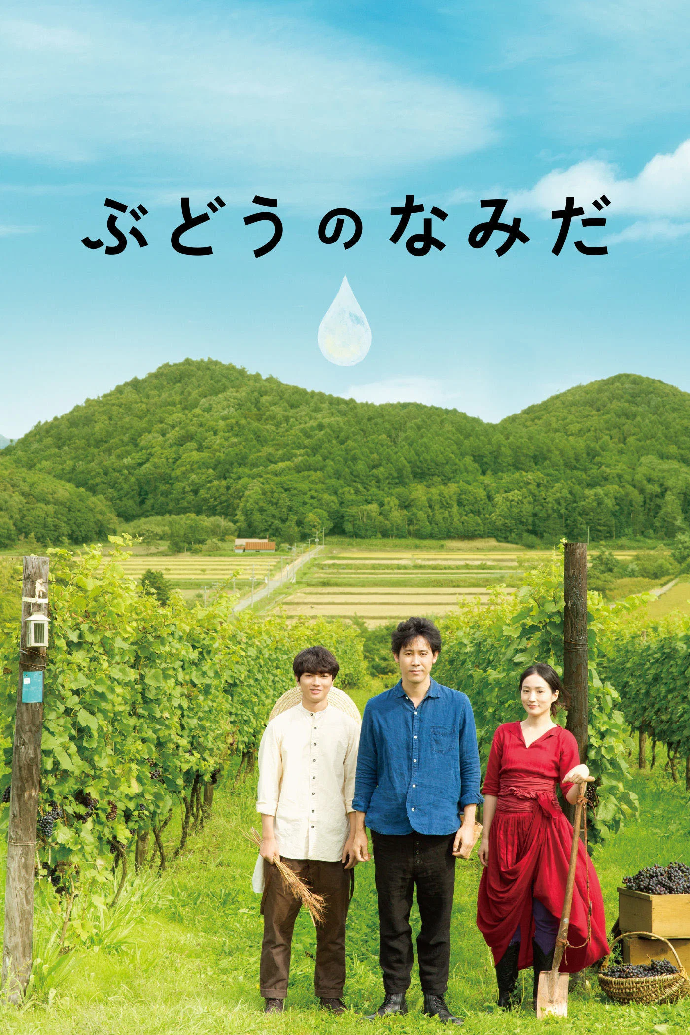 《葡萄的眼泪》海报