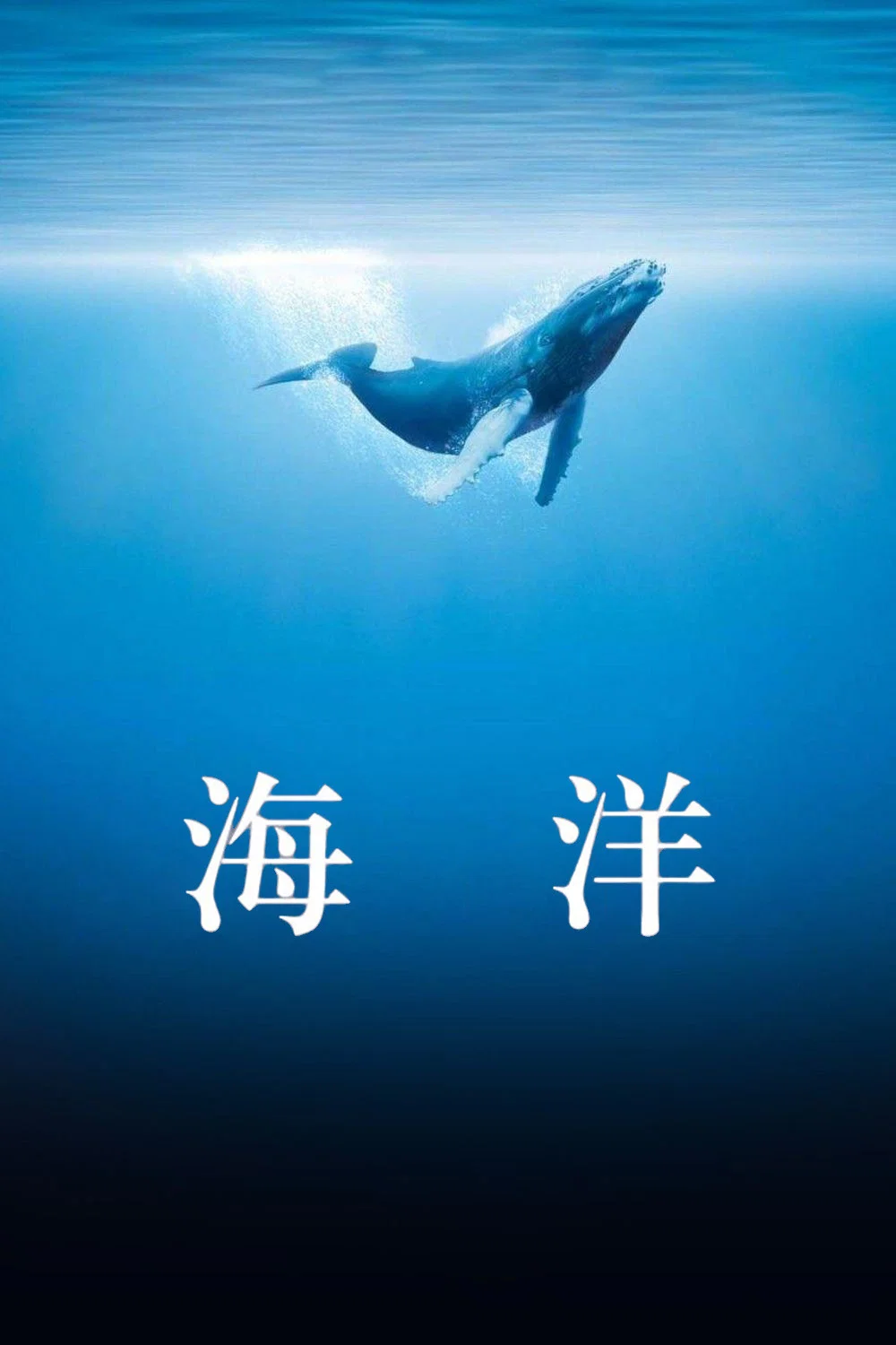 海洋