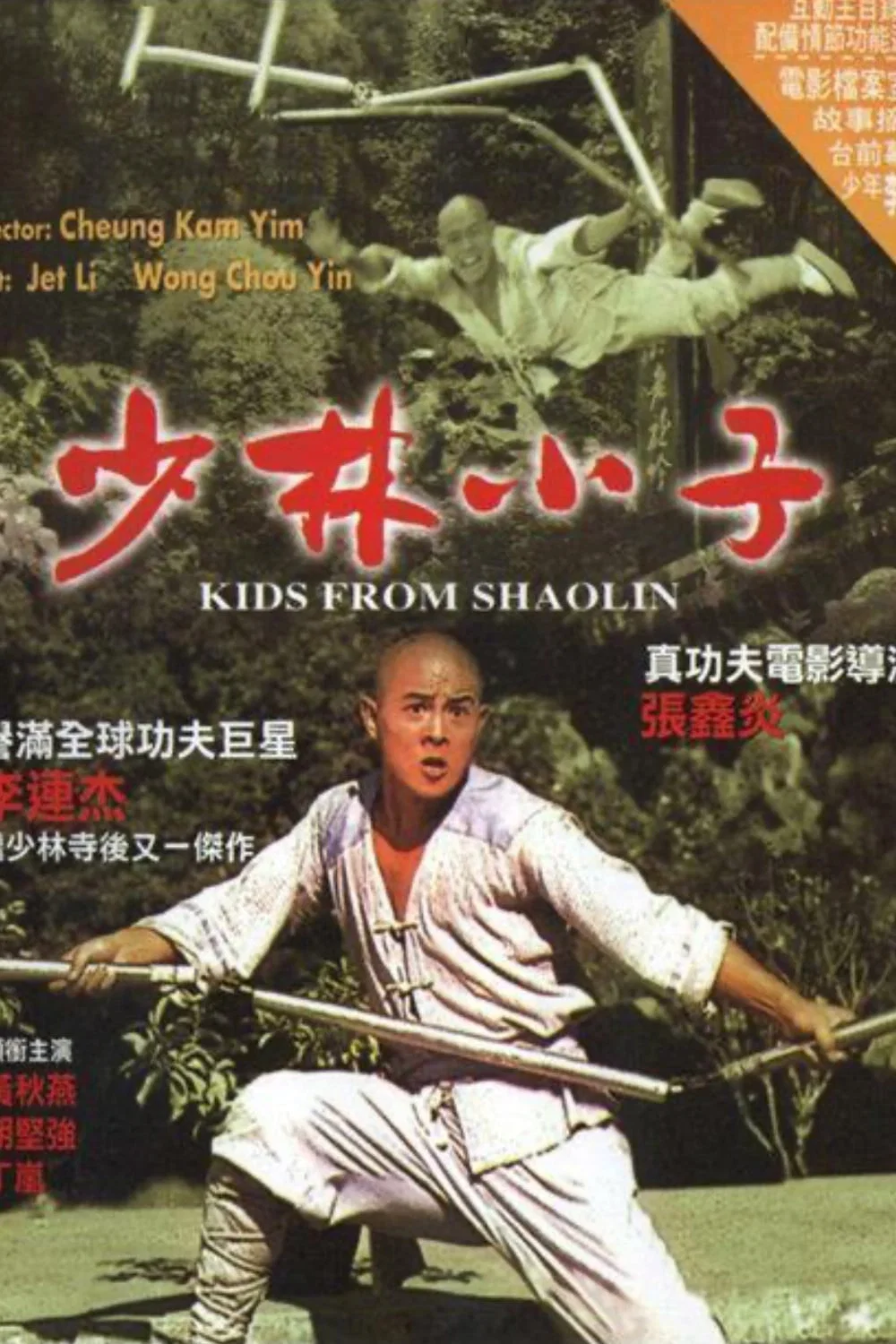 《少林小子》海报