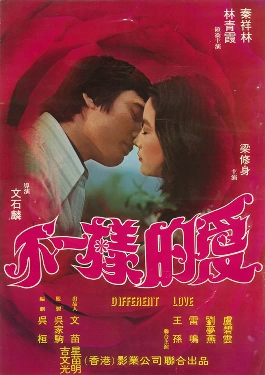 《不一样的爱》海报