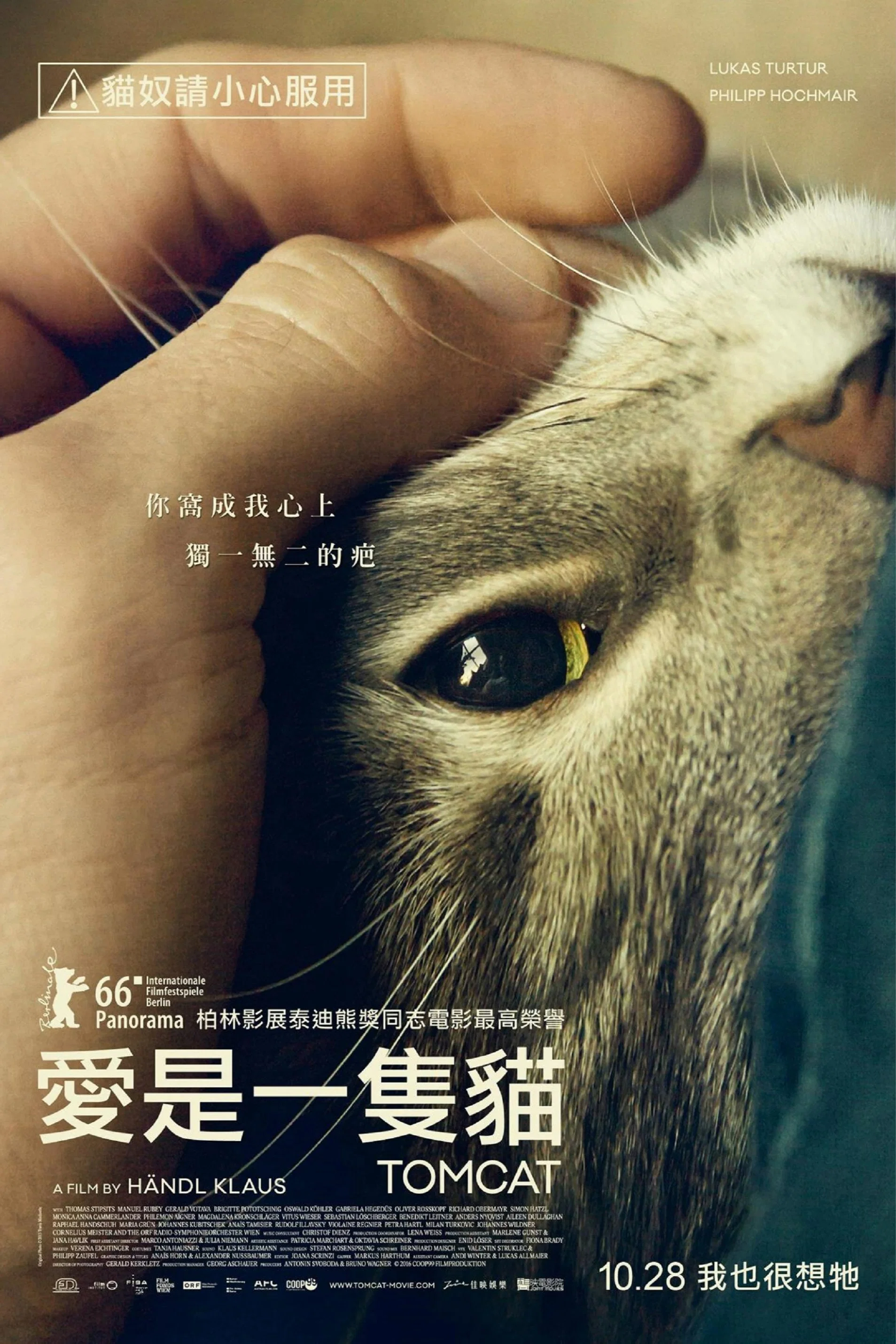 《公猫》海报