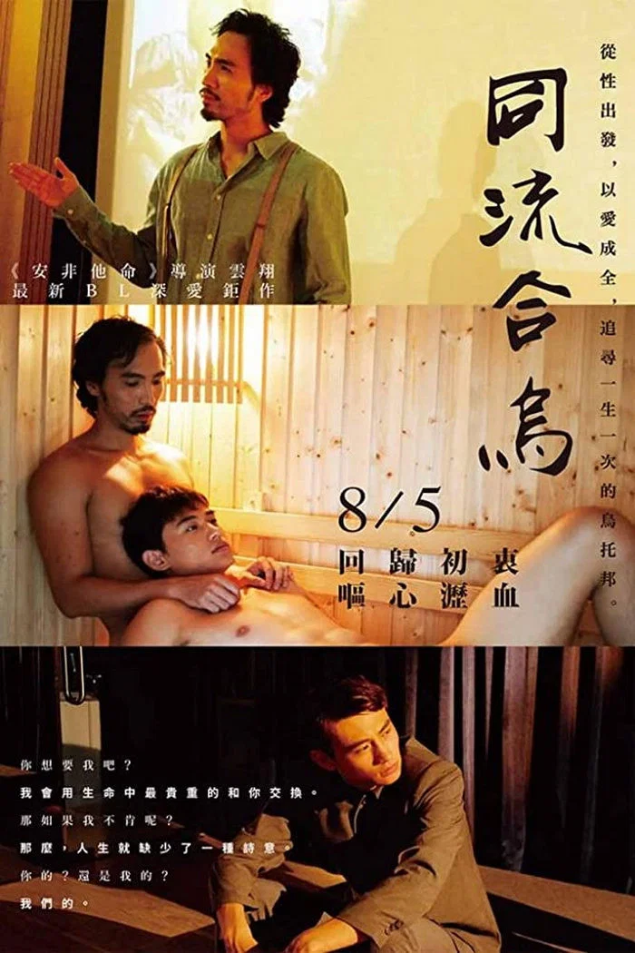 《同流合乌》海报