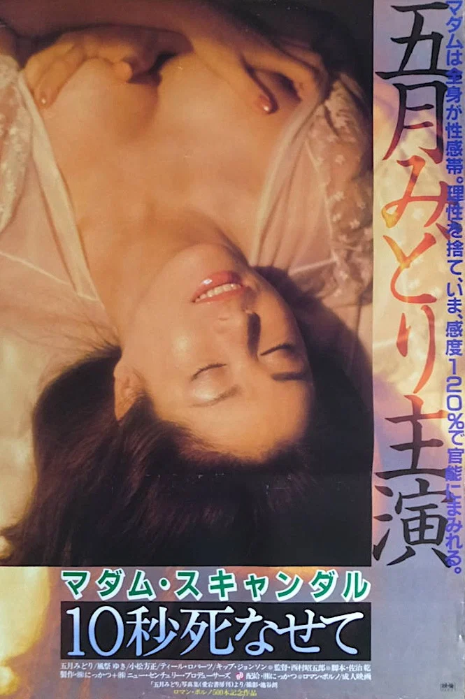 《丑闻夫人：让我死去十秒》海报