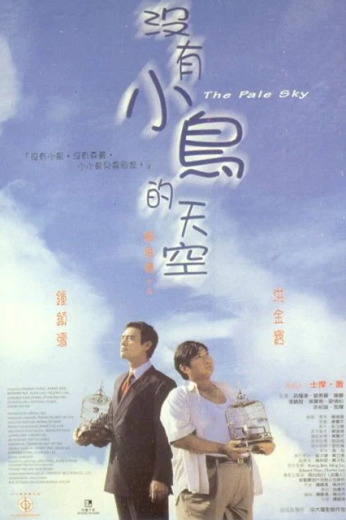 《没有小鸟的天空》海报