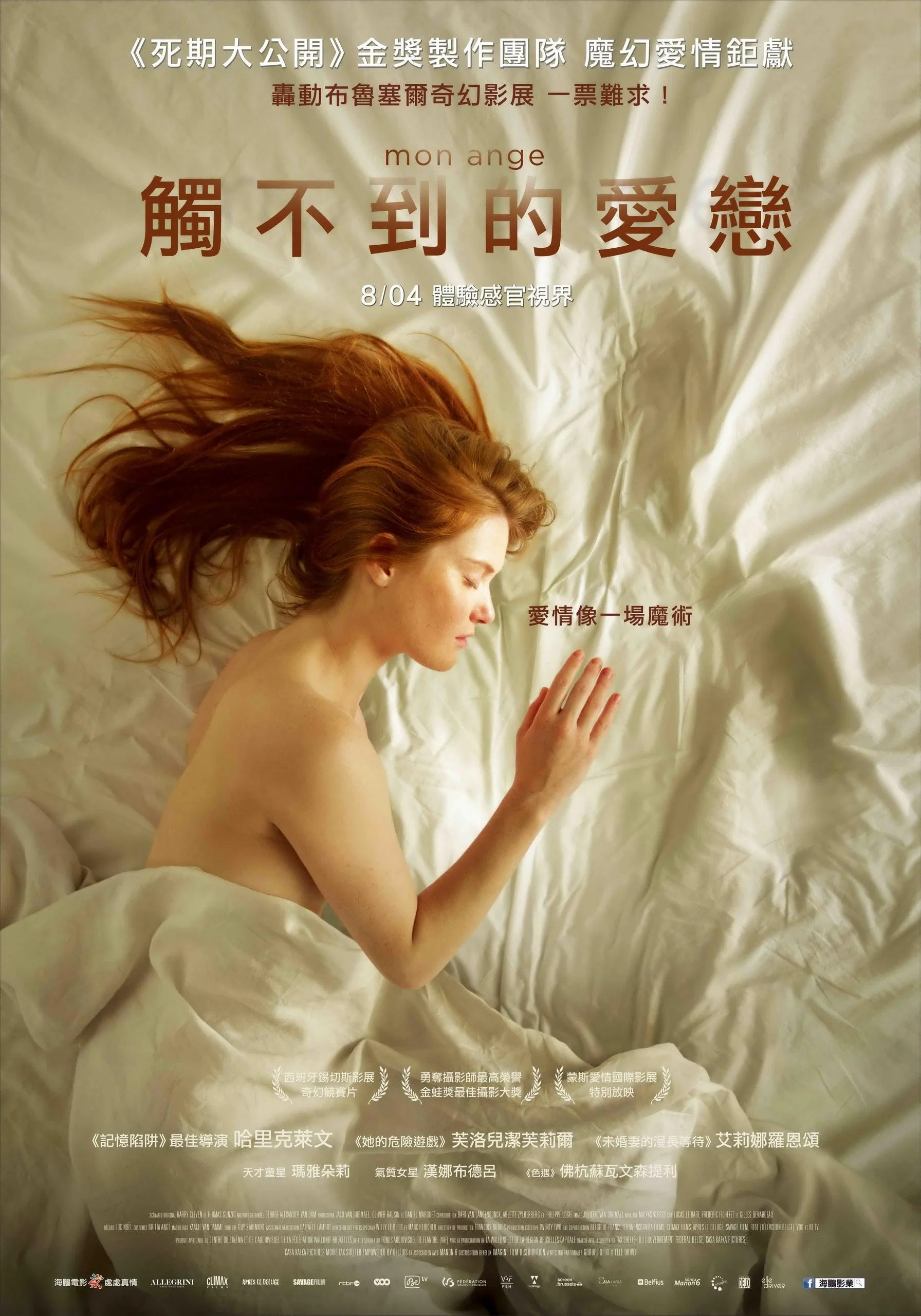 《我的天使》海报