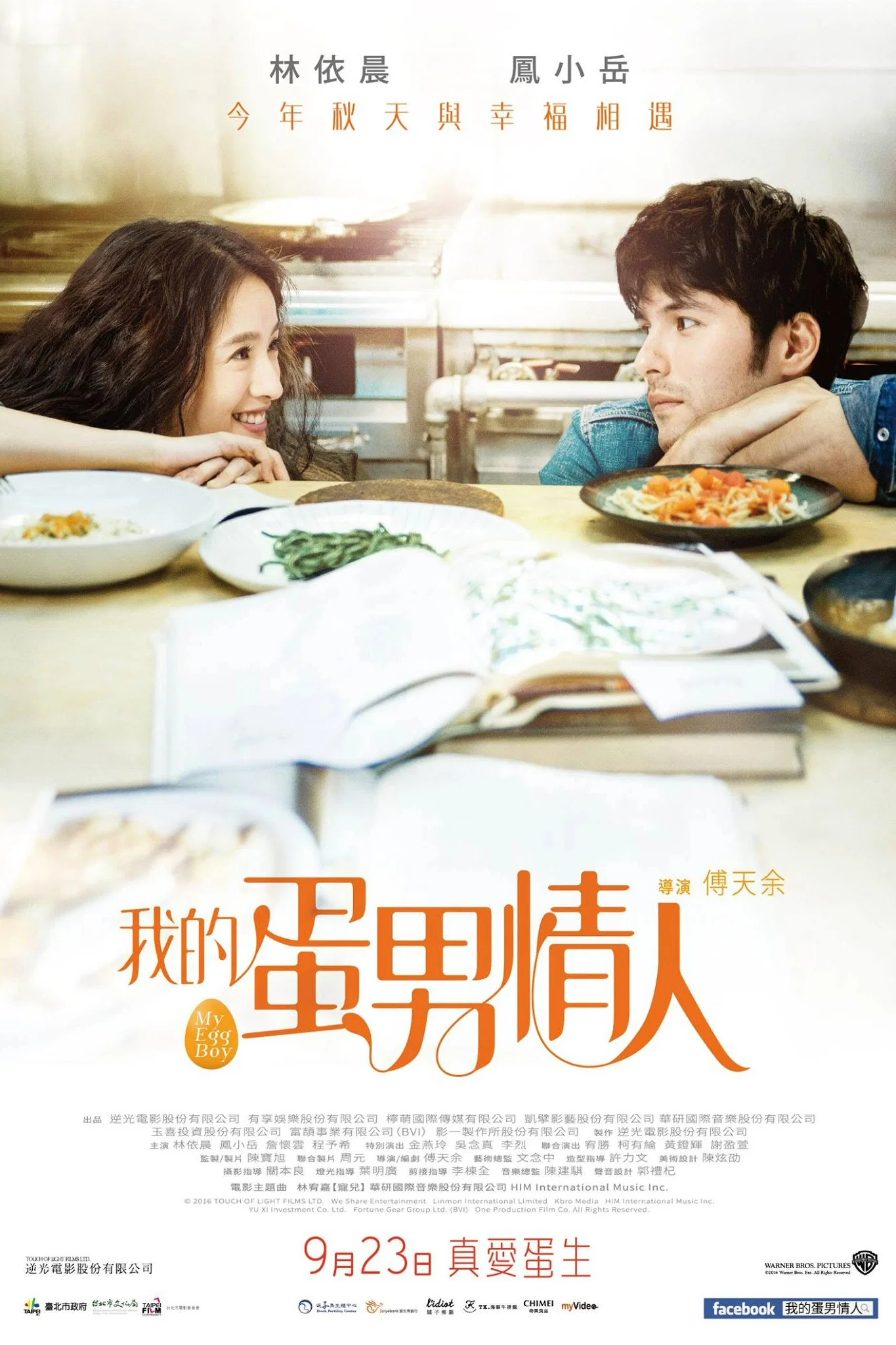 《爱情冻住了》海报