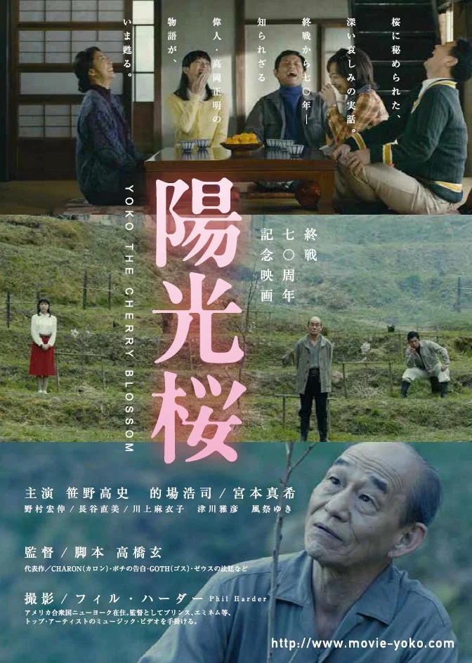 《阳光樱》海报