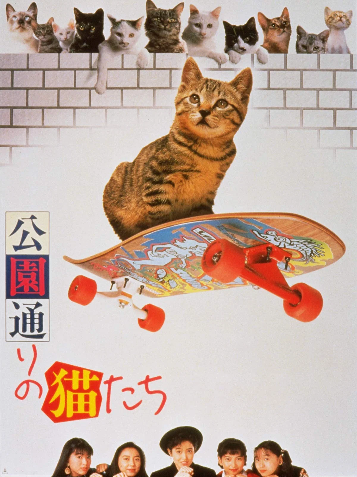 《公园路的猫们》海报