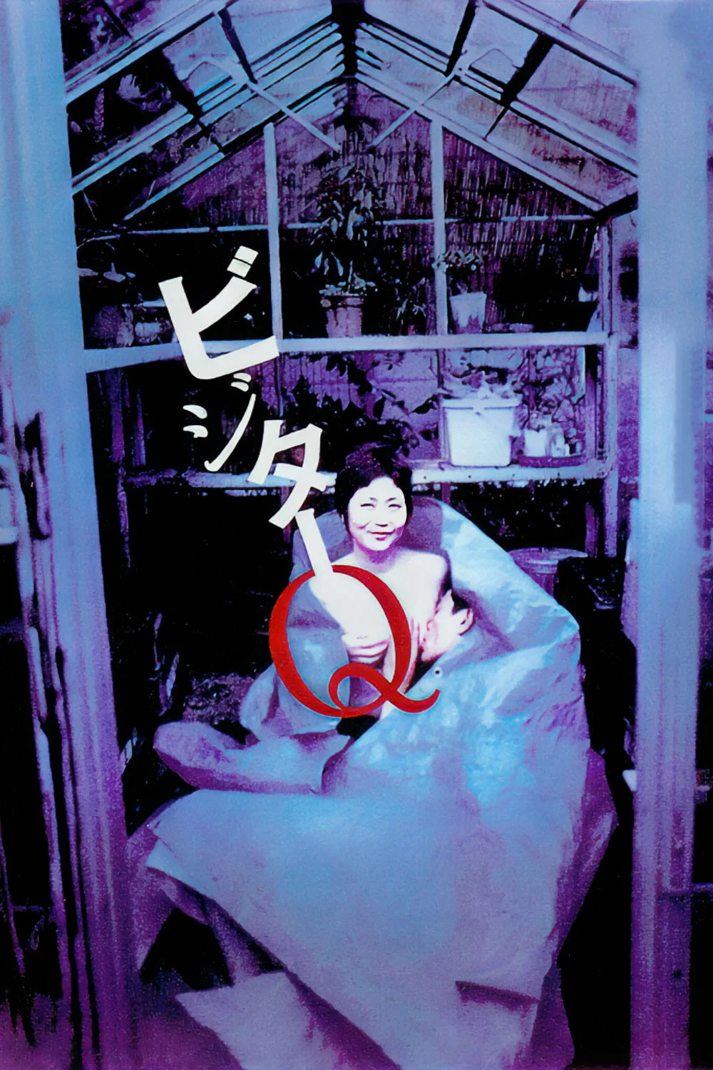 《拜访者Q》海报