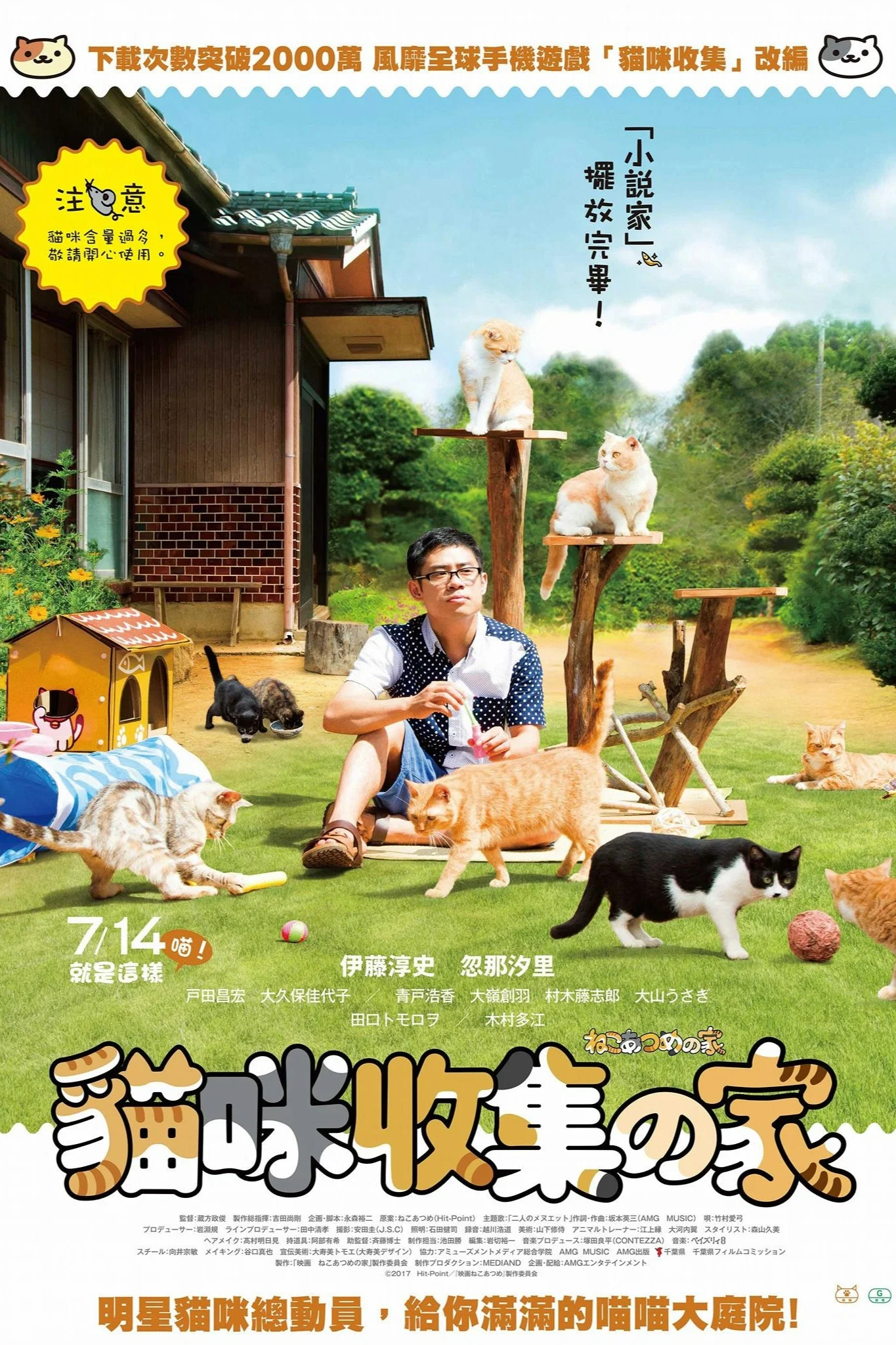 猫咪后院之家