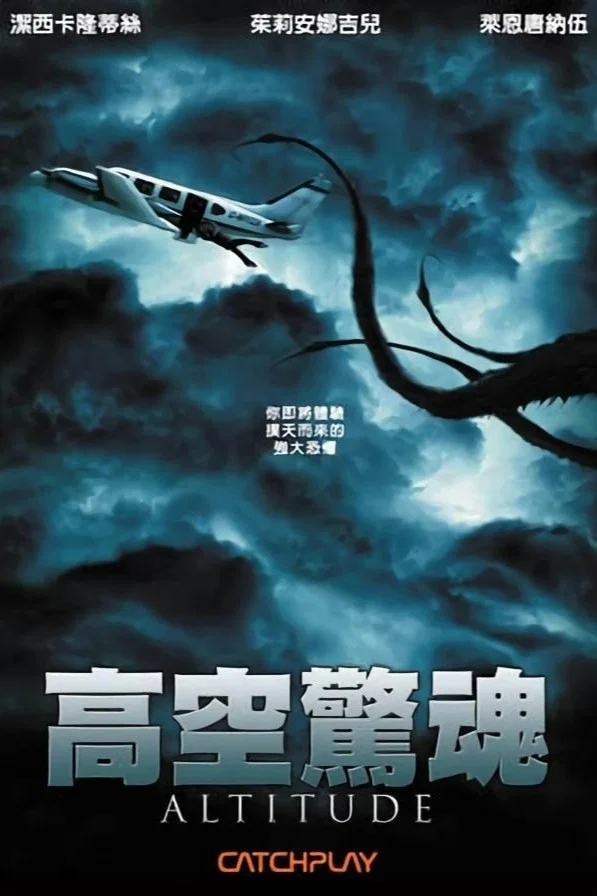《高空飞行》海报