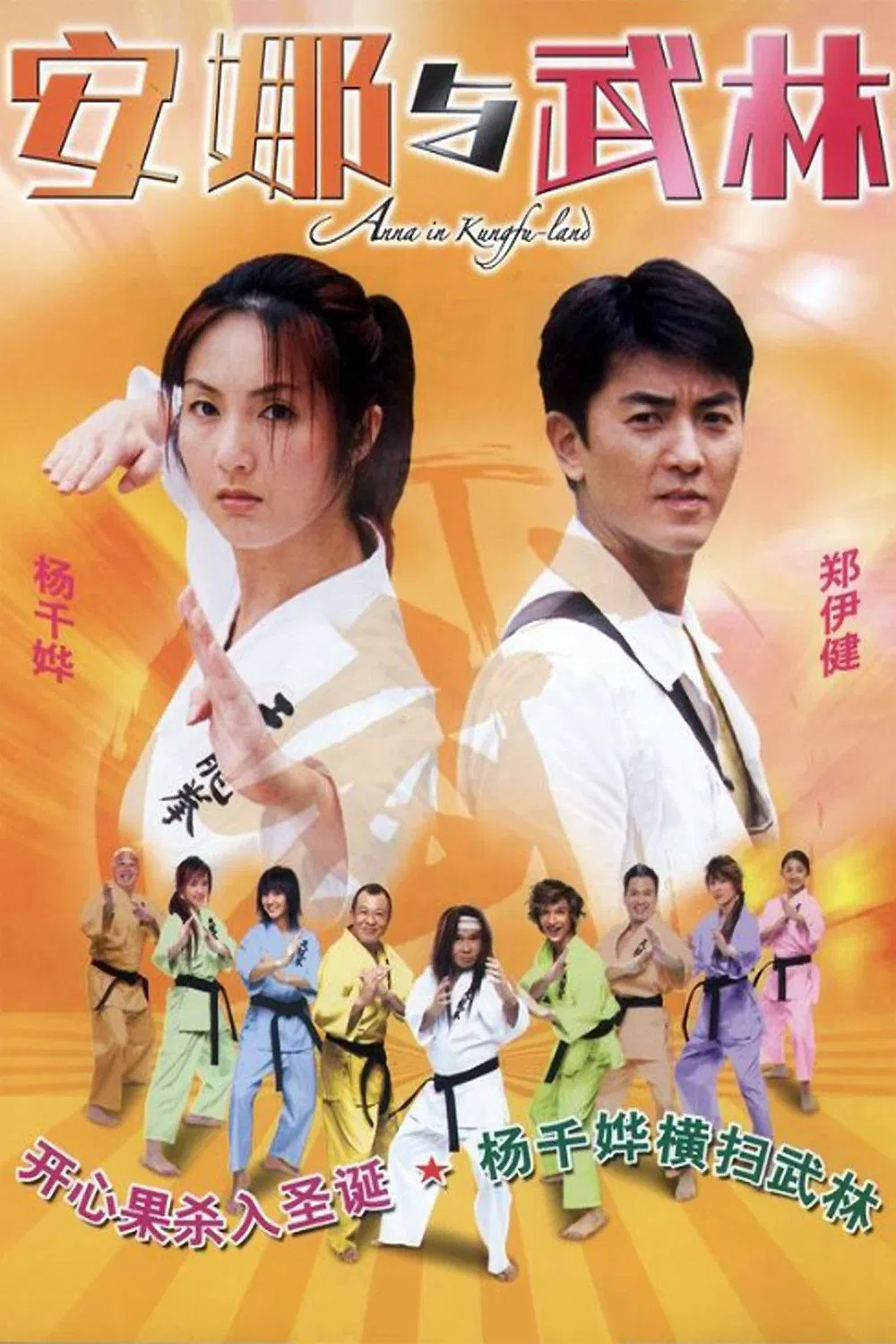 《安娜与武林》海报