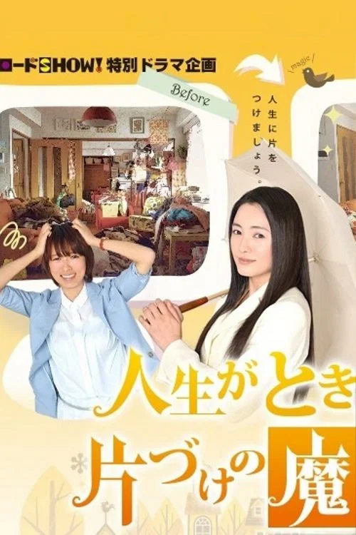 《怦然心动的人生整理魔法》海报