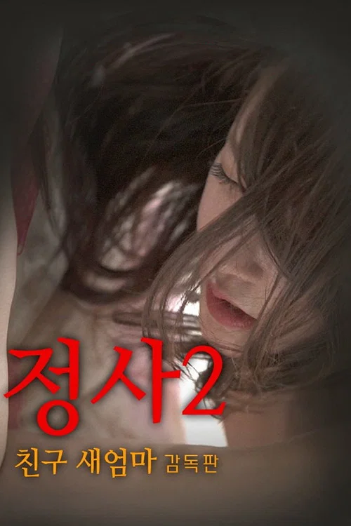 《情事2：朋友的继母》海报