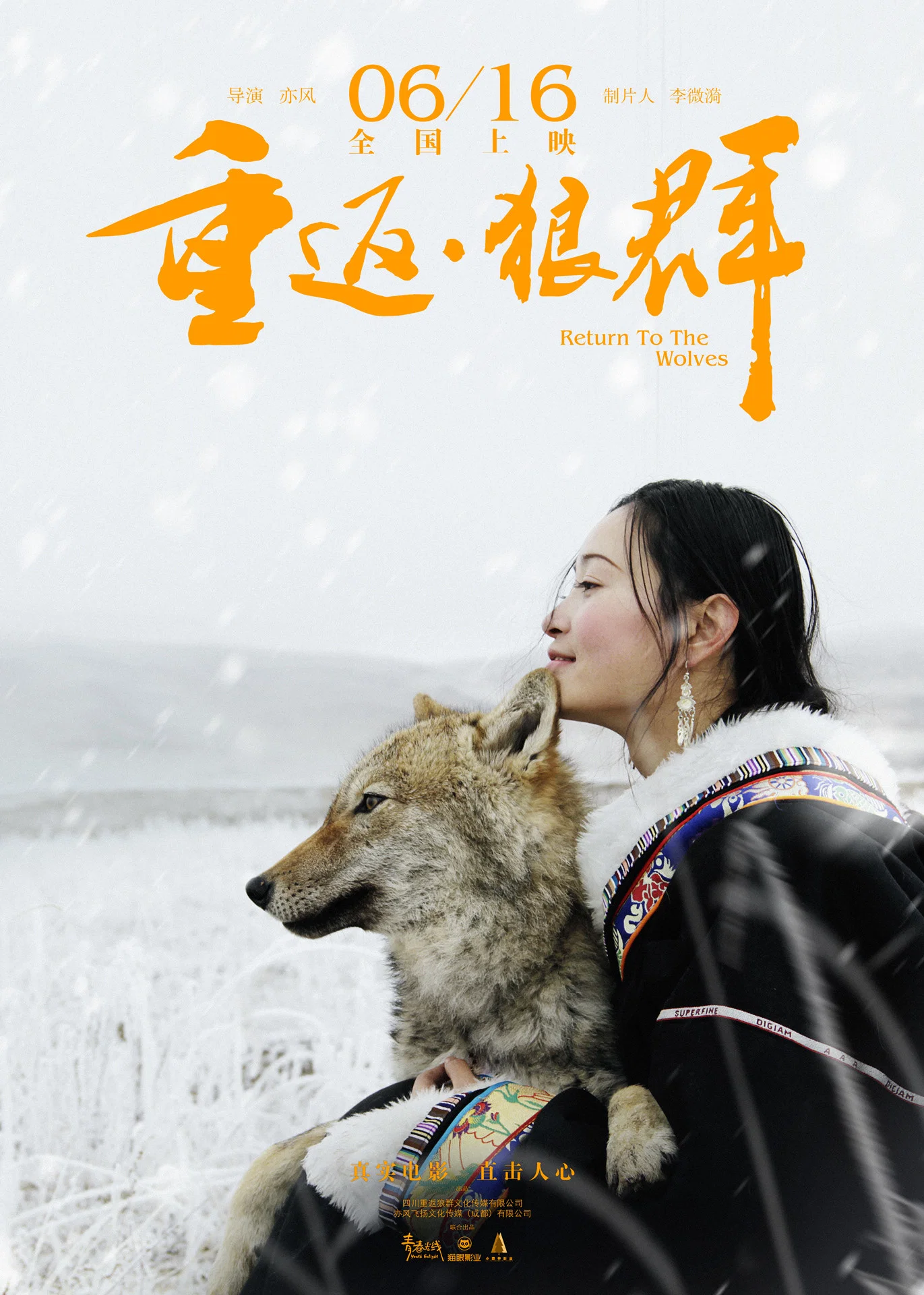 《重返·狼群》海报