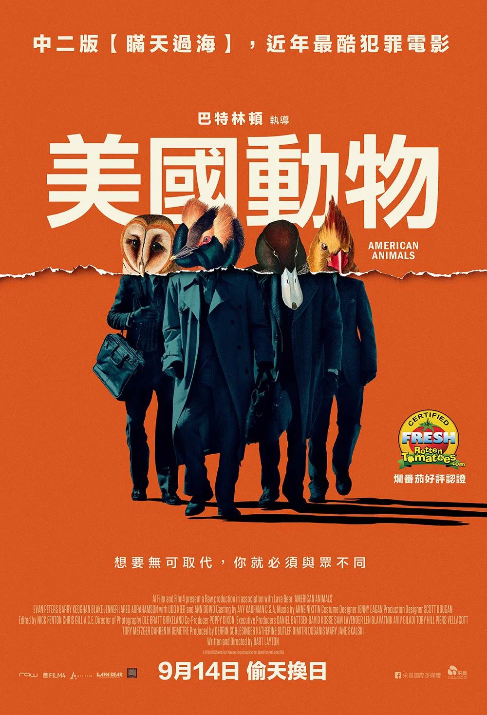 美国动物