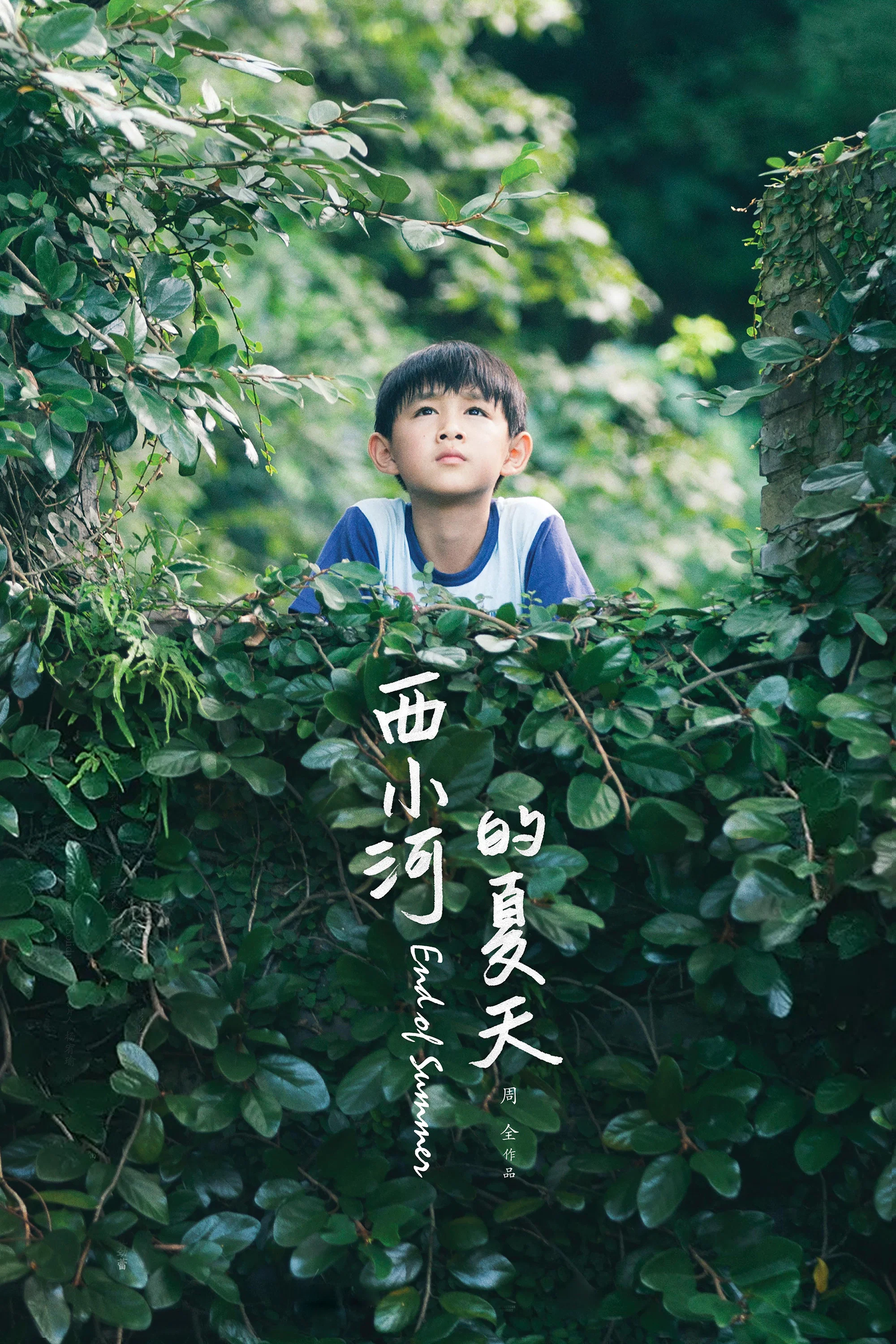 《西小河的夏天》海报
