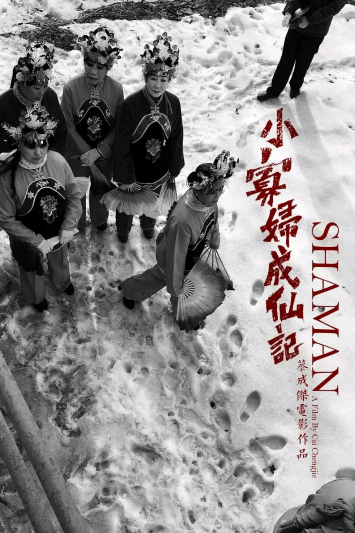 《北方一片苍茫》海报
