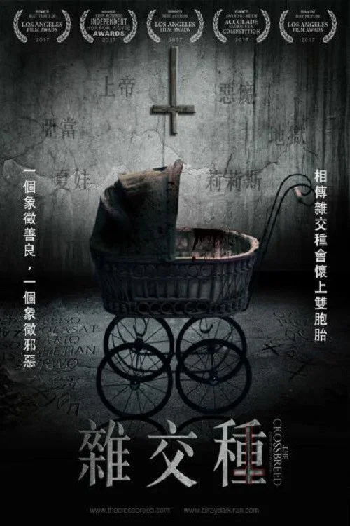 杂交种