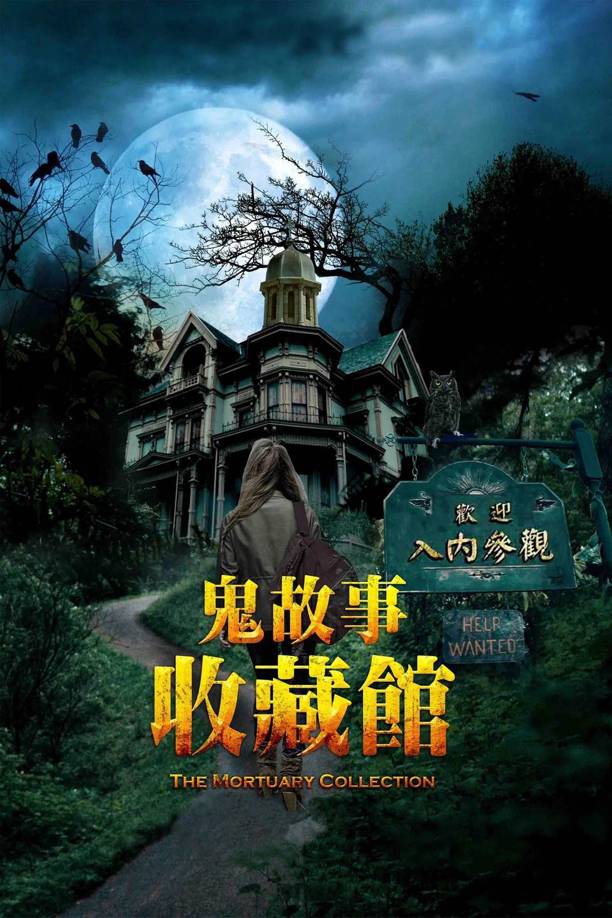 《停尸房收藏》海报