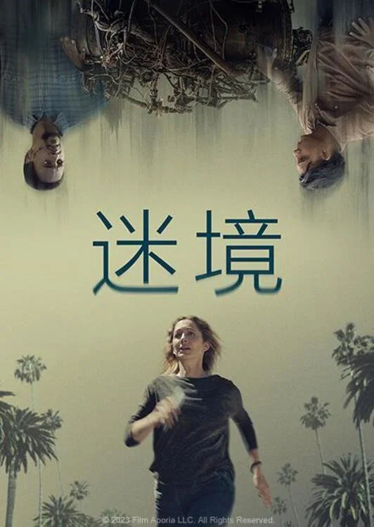 《悖论》海报