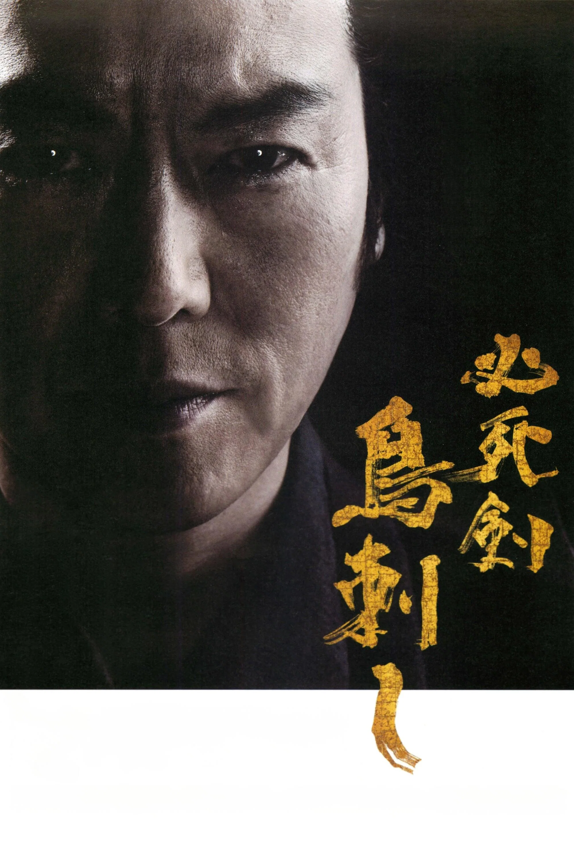《必死剑鸟刺》海报