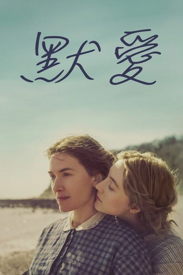 《菊石》海报